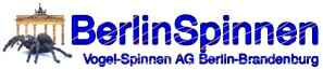 BerlinSpinnen